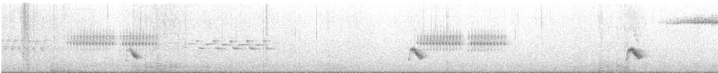 Пестрогорлый соловьиный дрозд - ML461943481