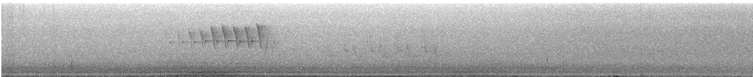Малая вильсония - ML461952001
