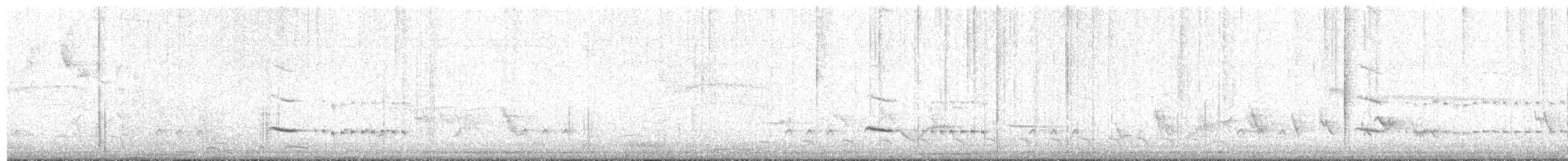 Northern White-fringed Antwren - ML462026061