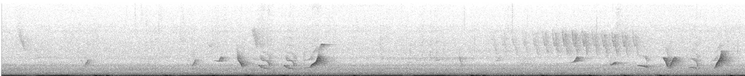 svarthaleplystrer - ML462072801