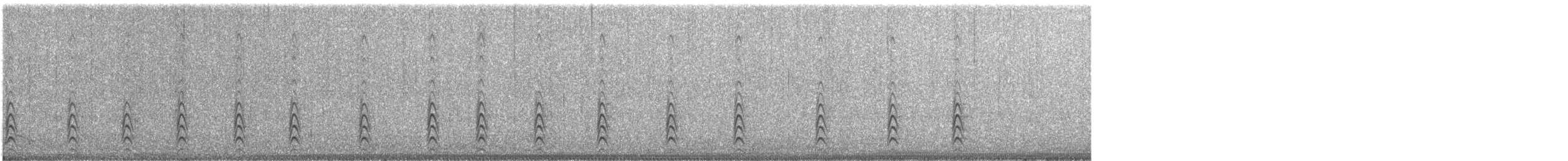 Schwarznacken-Stelzenläufer (knudseni) - ML462165101