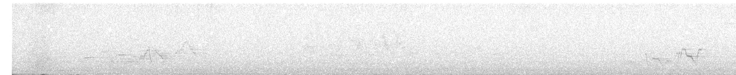 Дрізд-короткодзьоб Cвенсона - ML462173201