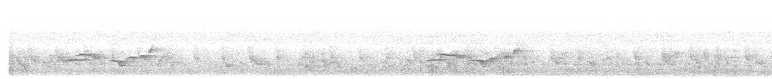 svartstrupelattertrost (chinensis gr.) - ML462190271