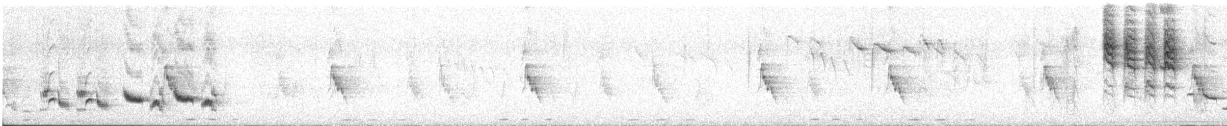 Western Orphean Warbler - ML462224541