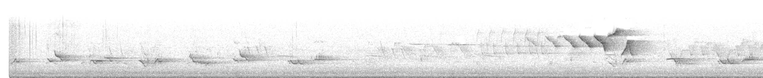 lesňáček lejsčí - ML462354581