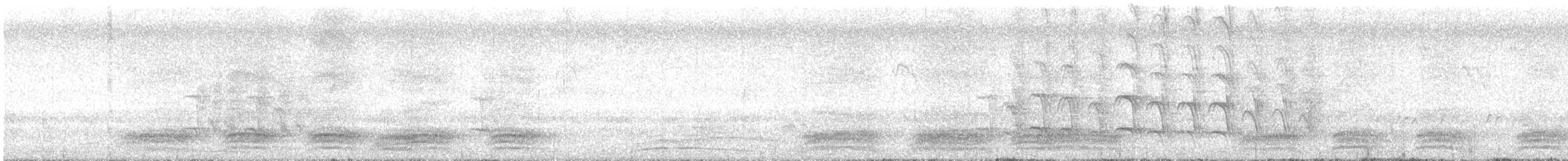 Cratérope de brousse (groupe striata) - ML462384561