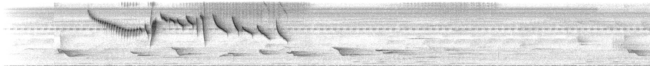 Band-tailed Barbthroat - ML46239581