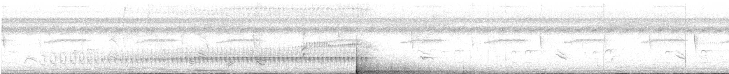 Straight-billed Woodcreeper - ML462401571