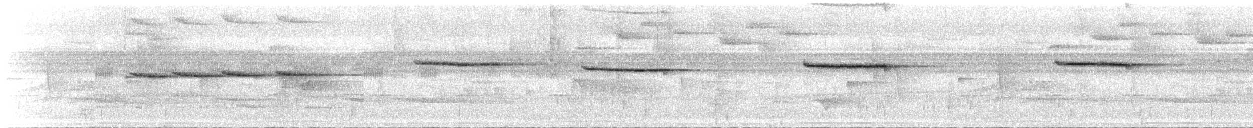 Troglodyte siffleur - ML46240551