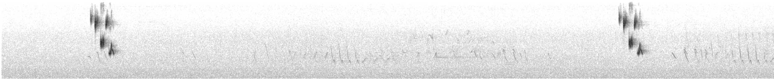Chingolo de Henslow - ML462407251