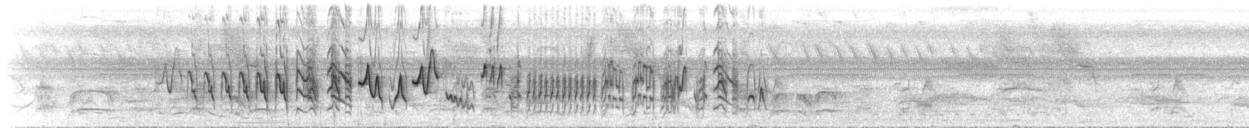 Sporophile variable - ML46241121