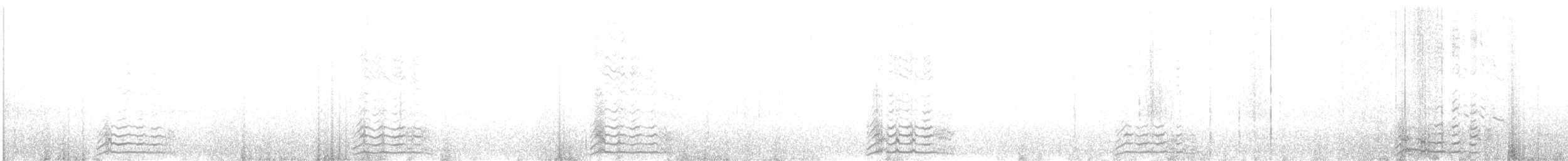 chaluha subantarktická - ML462433051