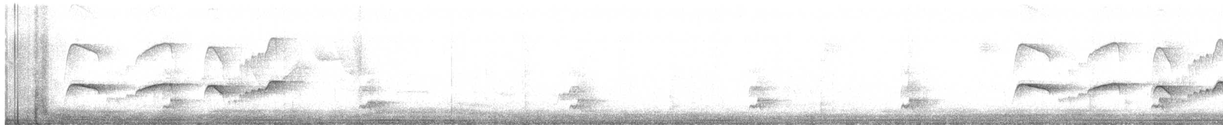 Atlantik Karınca Tiranı - ML462434401