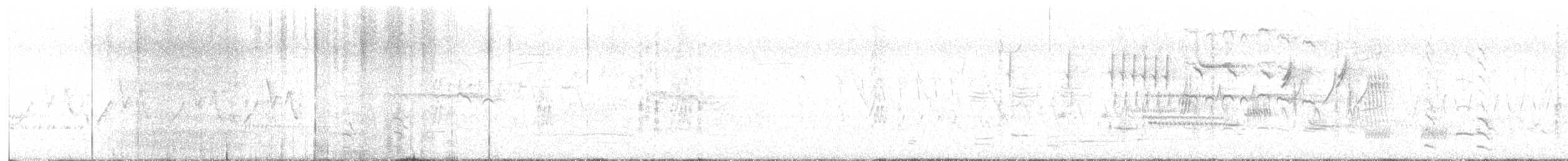 Common Gallinule - ML462437741