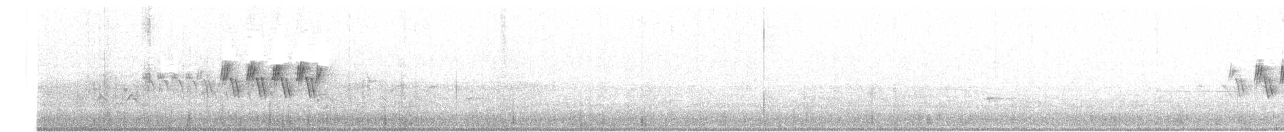 MacGillivray's Warbler - ML462451281