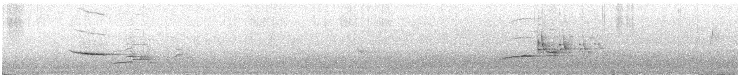 Дрізд-короткодзьоб плямистоволий - ML462460801