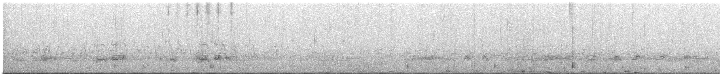 Western Grebe - ML462471251