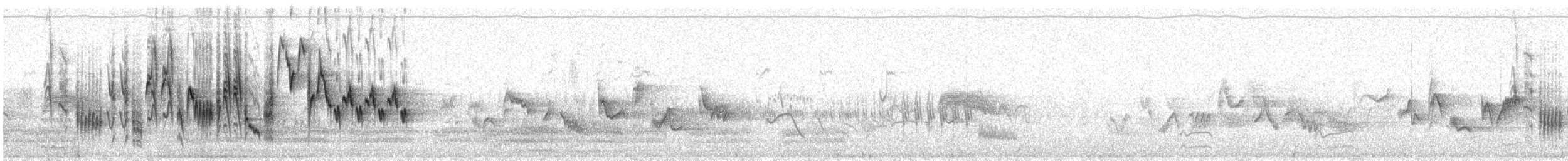 Northern House Wren - ML462489721