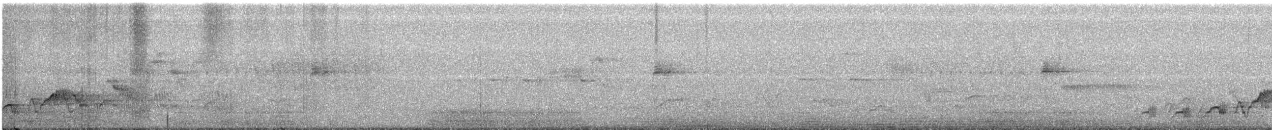 Дрізд-короткодзьоб Cвенсона - ML462519661