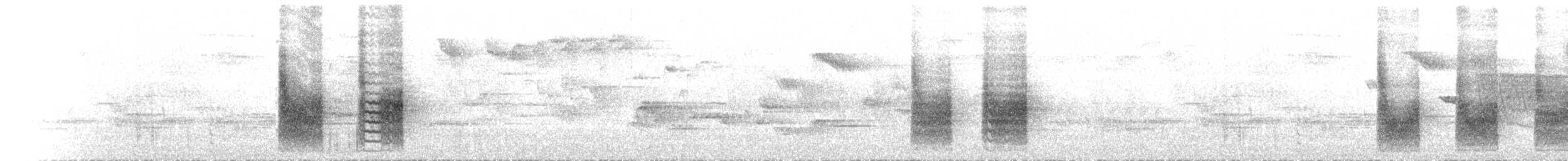 Krüper's Nuthatch - ML462523321
