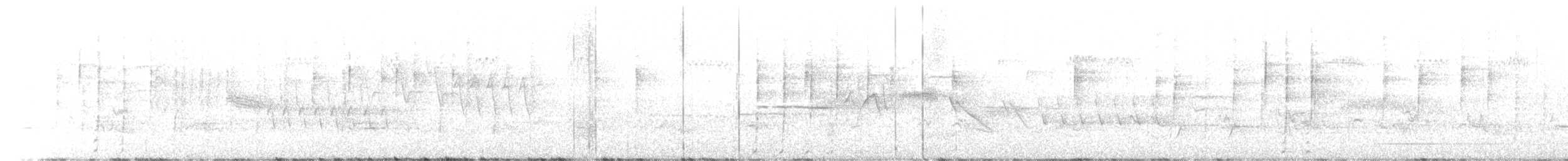 California Quail - ML462561731