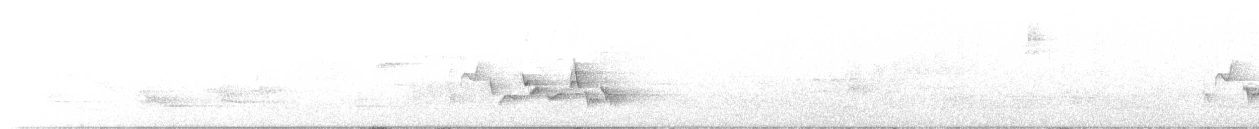 Western Warbling Vireo - ML462562411