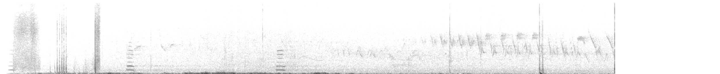 黃嘴天鵝 - ML462617261