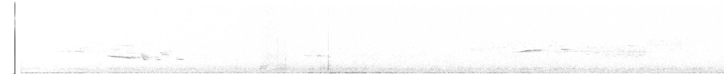 Hermit Thrush - ML462680821
