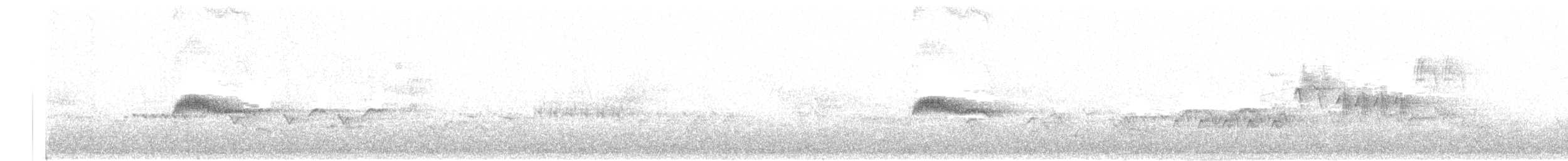 Western Wood-Pewee - ML462680951