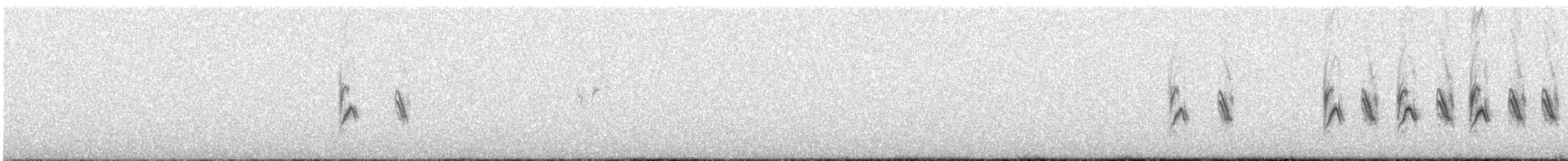 Чернокрылый снежный воробей - ML462687941