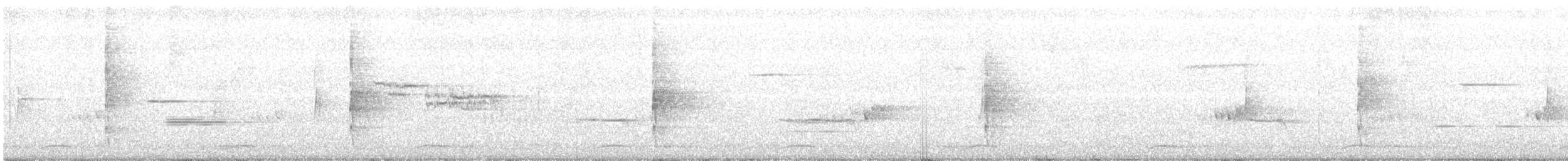 セアカウズラバト - ML462715771