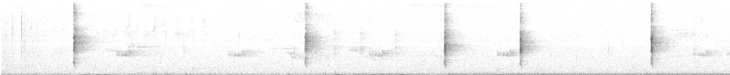 Пестрогрудый лесовик - ML462717811