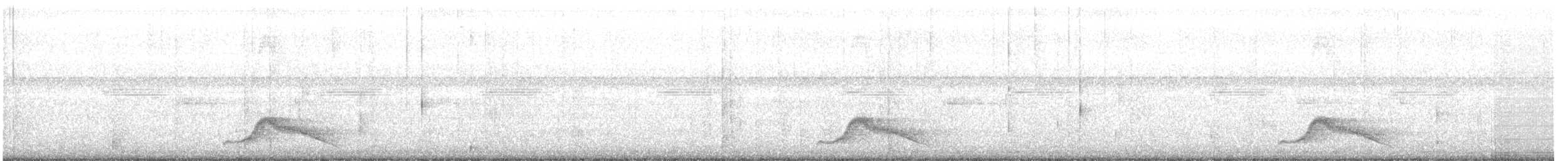 Common Pauraque - ML462754841