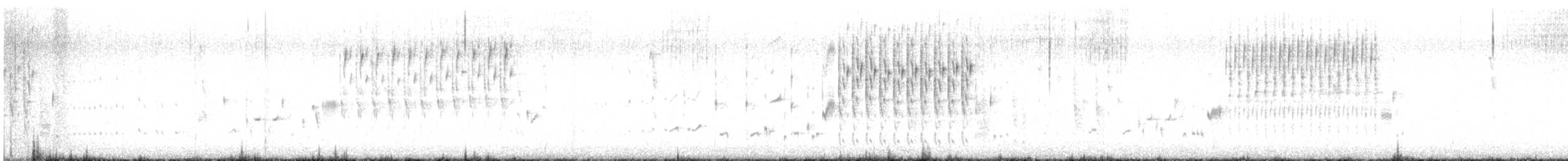 Marsh Wren (griseus) - ML462785531