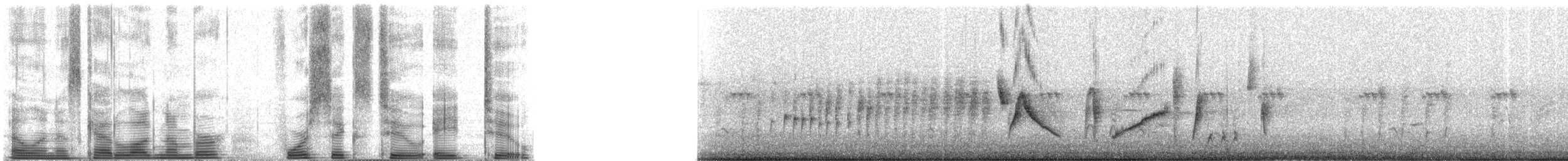 White-eyed Vireo (White-eyed) - ML46282