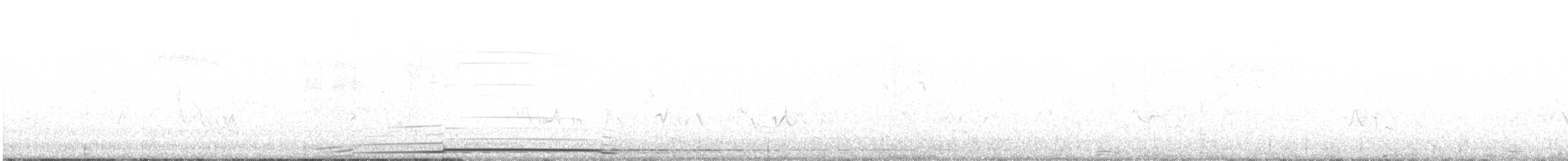 Plongeon huard - ML462828261