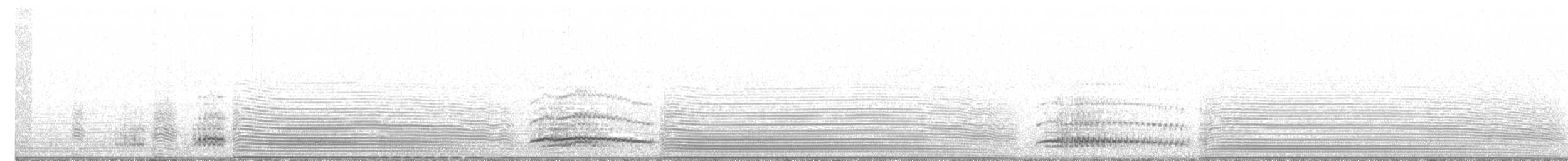 Humboldt Pengueni - ML462845251