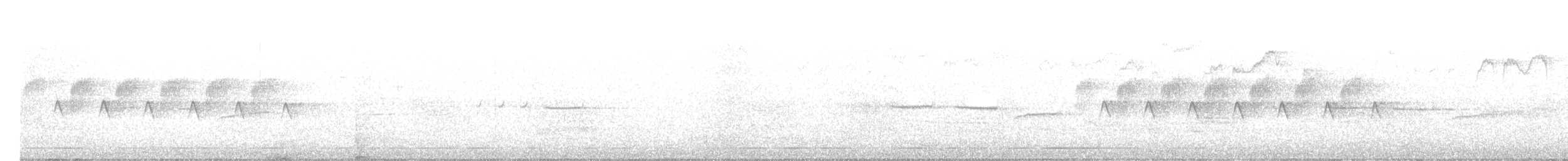 Серый юнко (dorsalis) - ML462869341