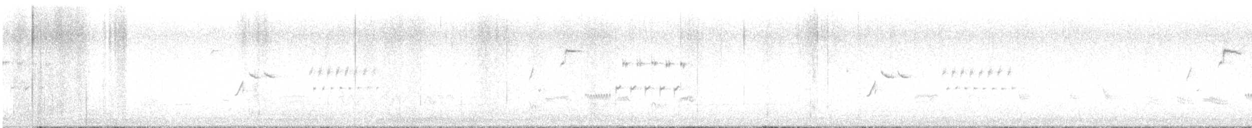 ノドグロヒメドリ - ML462877271