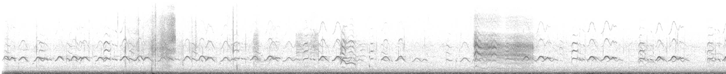 Kuliska erdipalmatua - ML462915681