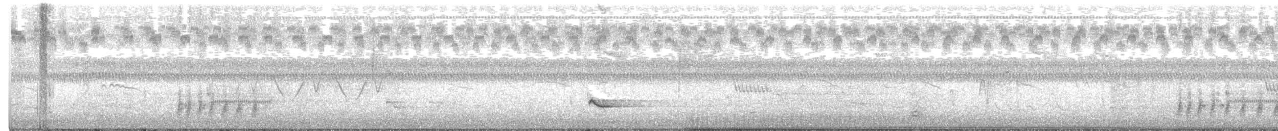 Ictérie polyglotte - ML462938041