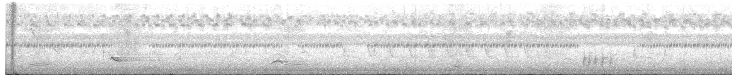 Corneille de rivage - ML462938181