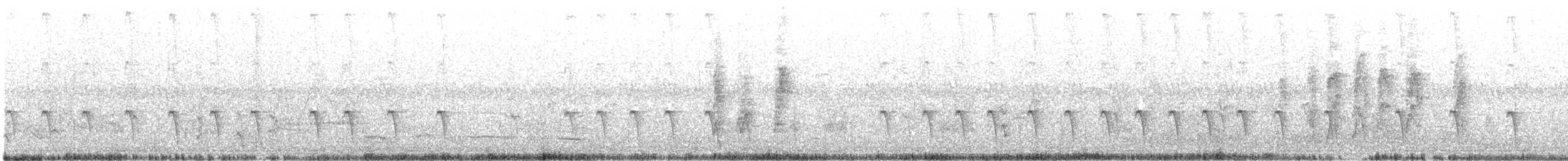 Bec-croisé des sapins (type 2) - ML462954251