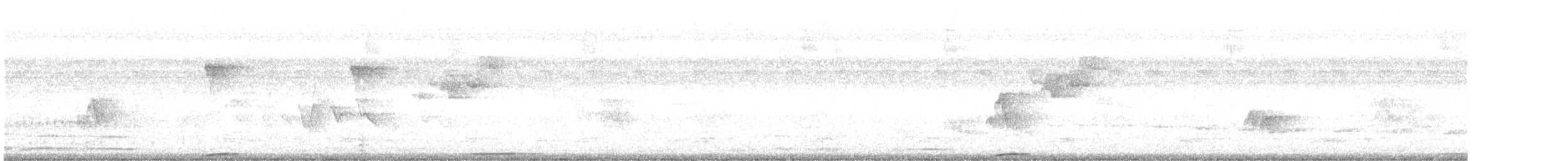 Motmot caraïbe (groupe subrufescens) - ML462970321