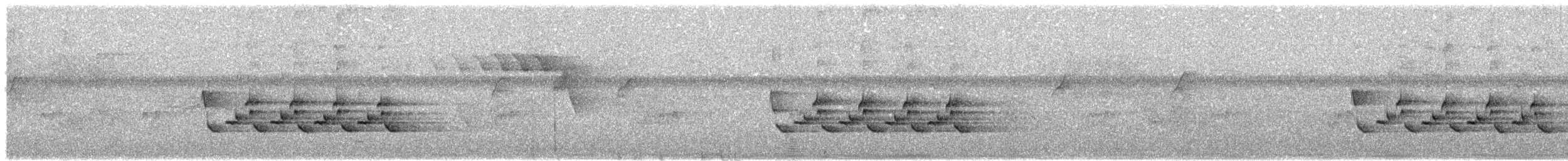 Поплітник каролінський - ML463047201