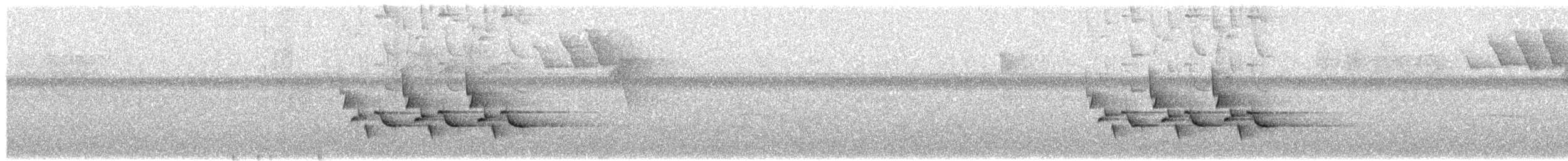 Поплітник каролінський - ML463047211