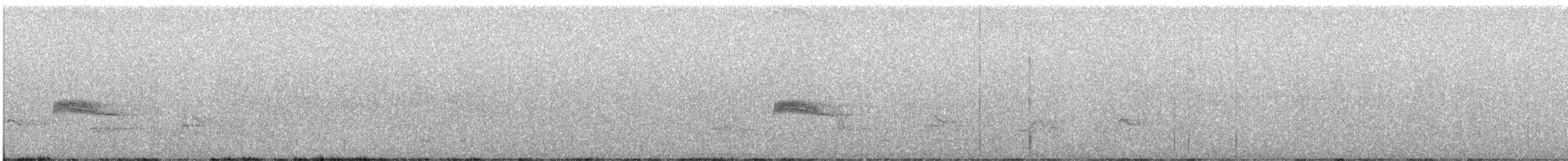 Western Wood-Pewee - ML463056841
