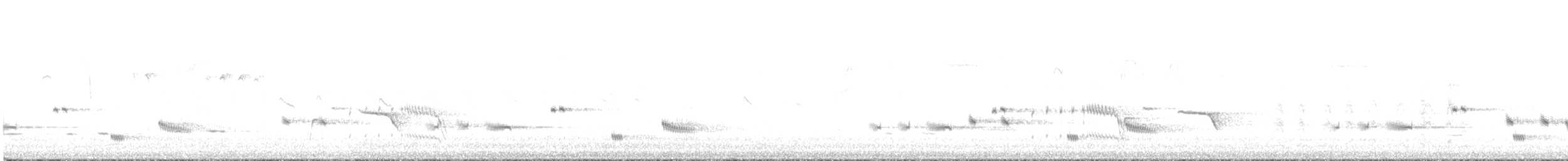 Батіжник вусатий (підвид leucogaster/lashmari) - ML463098261