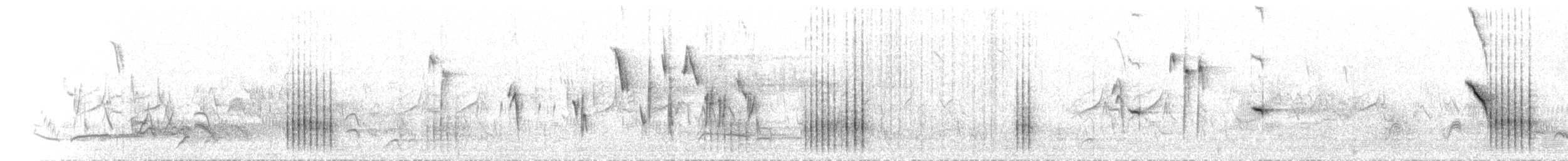 iranie bělohrdlá - ML463112481