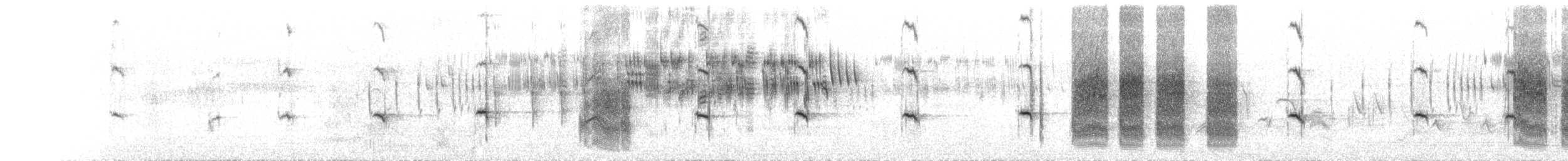 iranie bělohrdlá - ML463112821